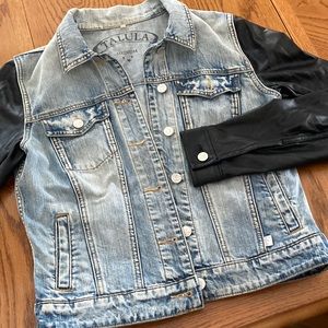 Aritzia Jean jacket